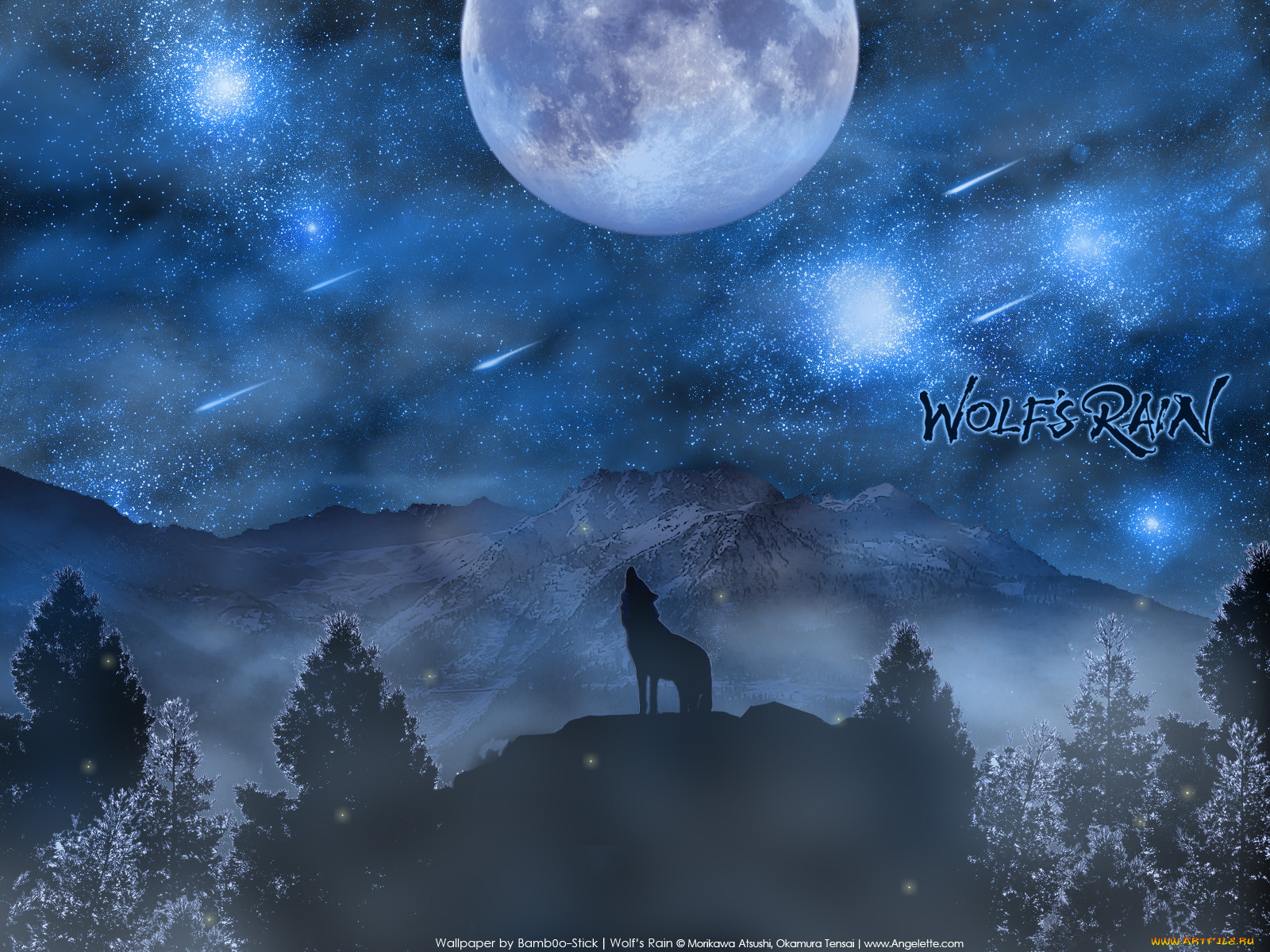 , wolf`s, rain